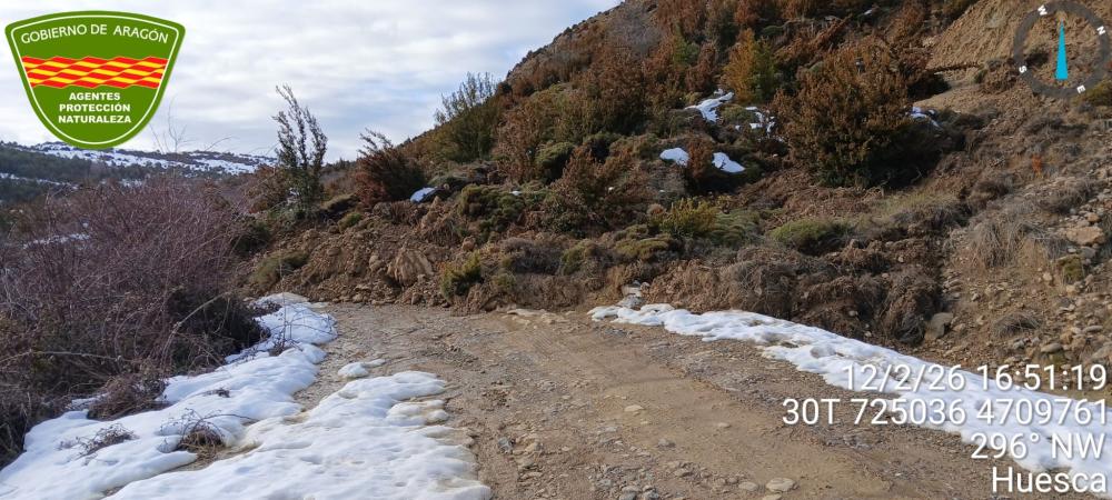 Imagen Autorización para las pistas forestales del M.U.P Nº 63 “Sierras de Cortillas”